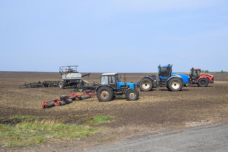    Плотников сообщил, что за 25 лет фермеры ежегодно увеличивали посевные на 775 тыс. гектаров.   
Фото: tatarstan.ru