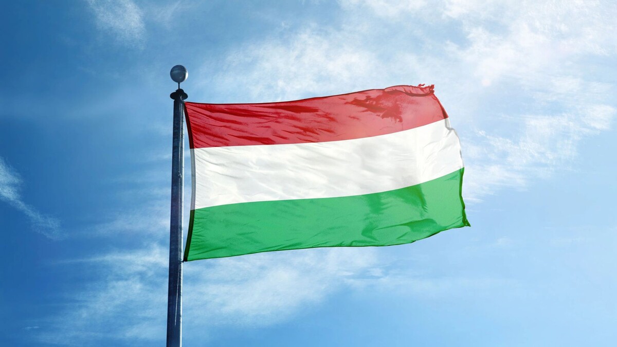    Фото: Creative Photo Corner/Shutterstock/Fotodom