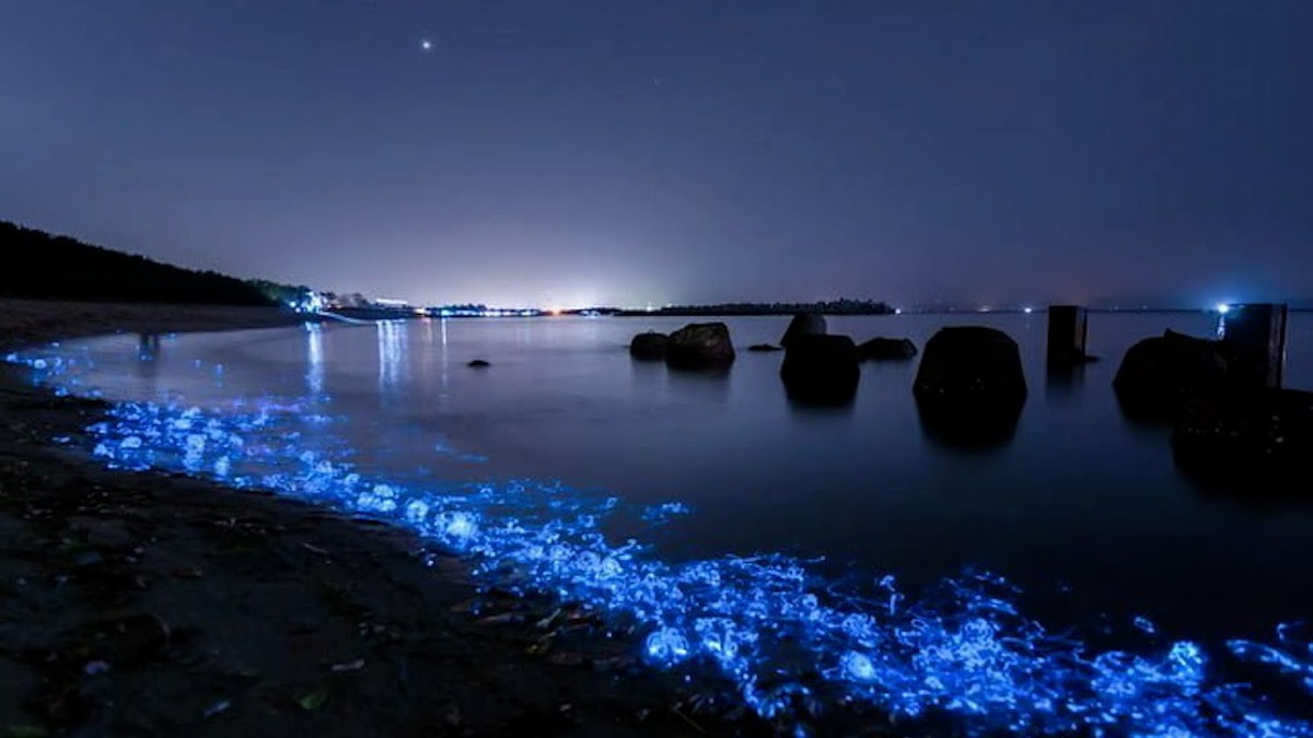 Несколько фото этого красивейшего явления.