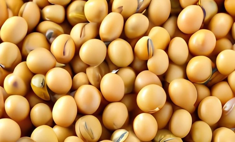    Китай приостановил действие лицензий на импорт сои у трех американских компаний