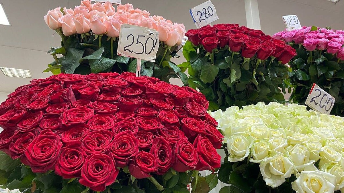    Фото: телеканал «Краснодар»