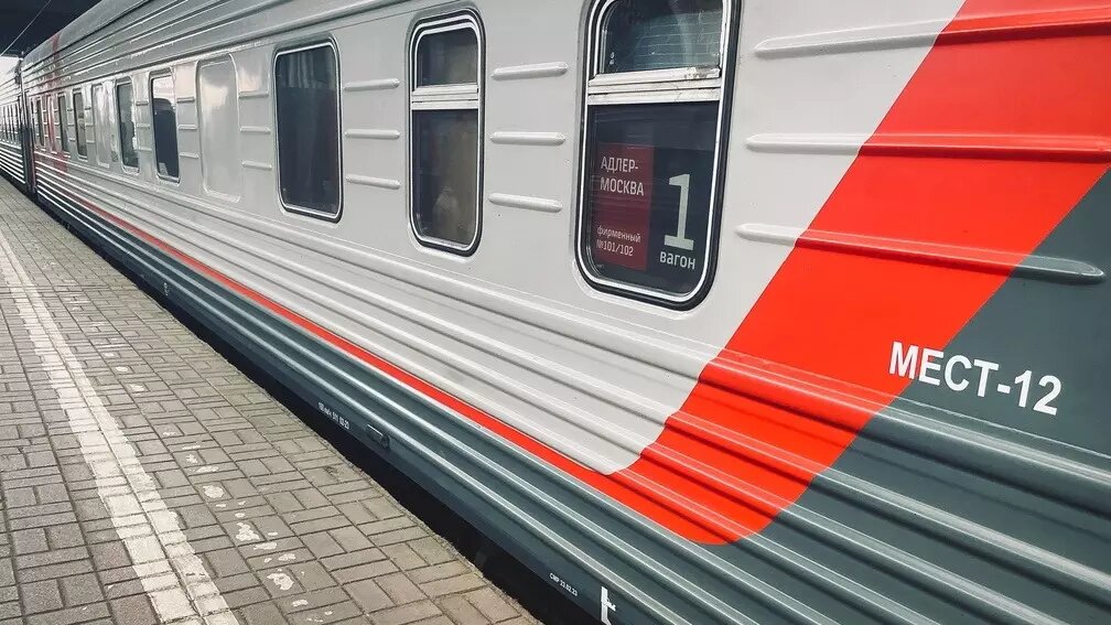 Проезд на поездах дальнего следования в России станет льготным. Источник: 1MI