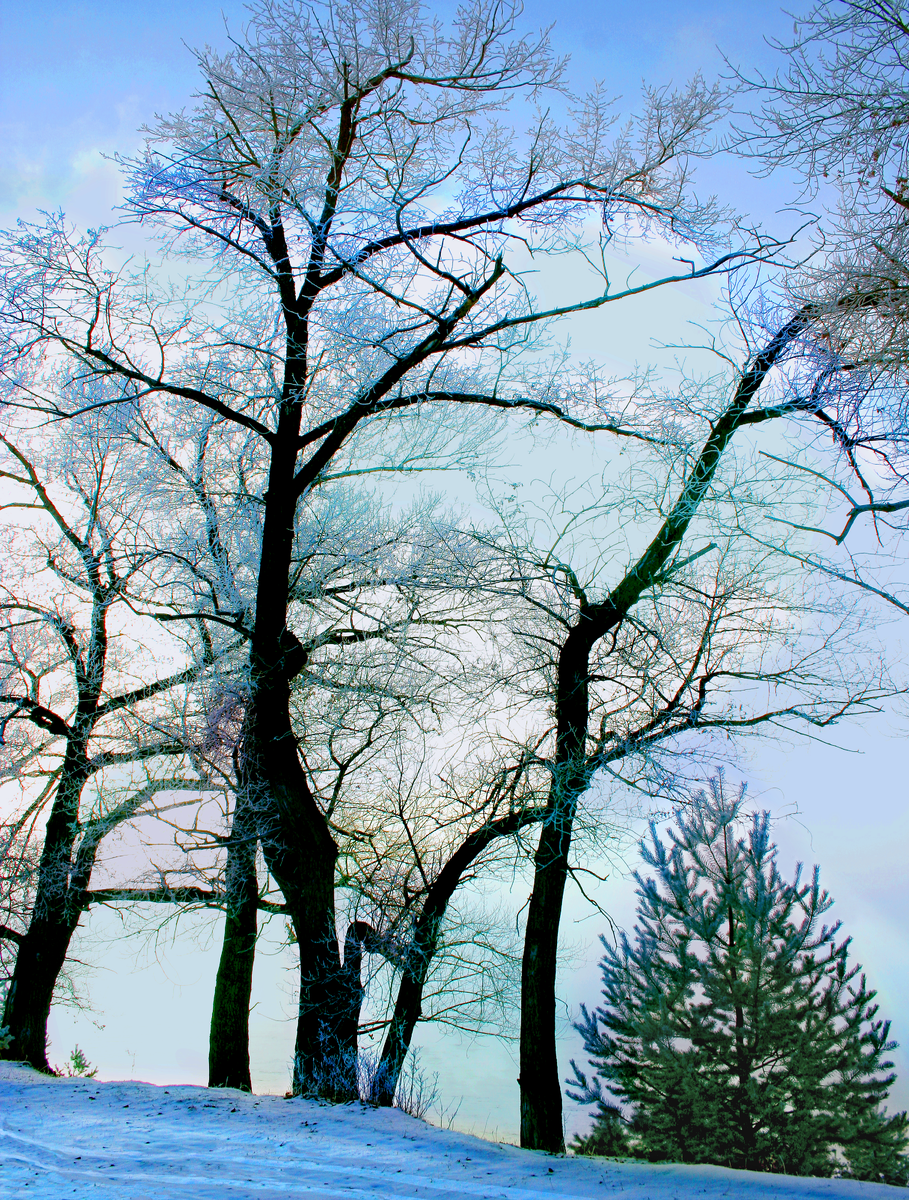 Фотография, стихотворение Василия Глуцкого