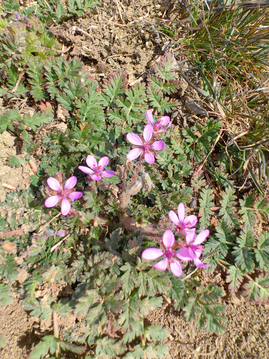 Сегодня. Фото автора канала