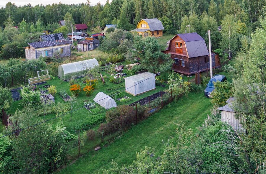     / Источник: © Альберт Гарнелис/ТАСС