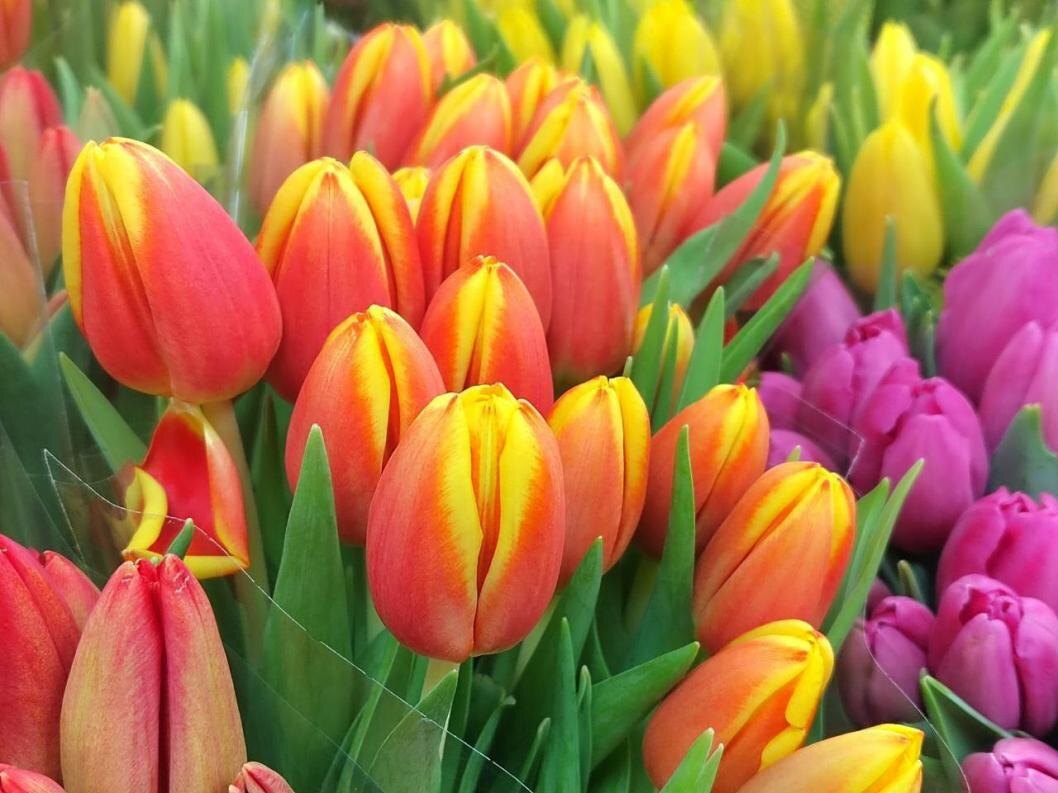 Фото: ИА "Тюменская линия"