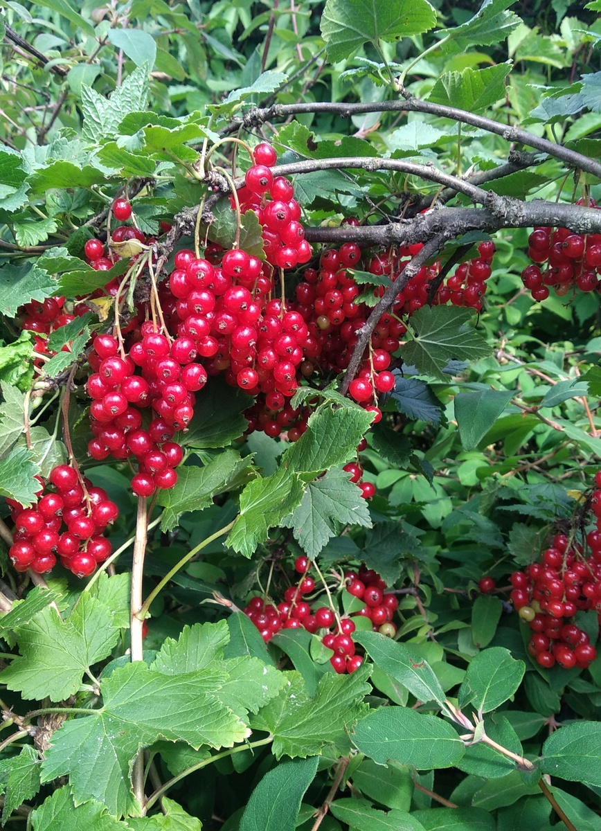 фото 2024 года