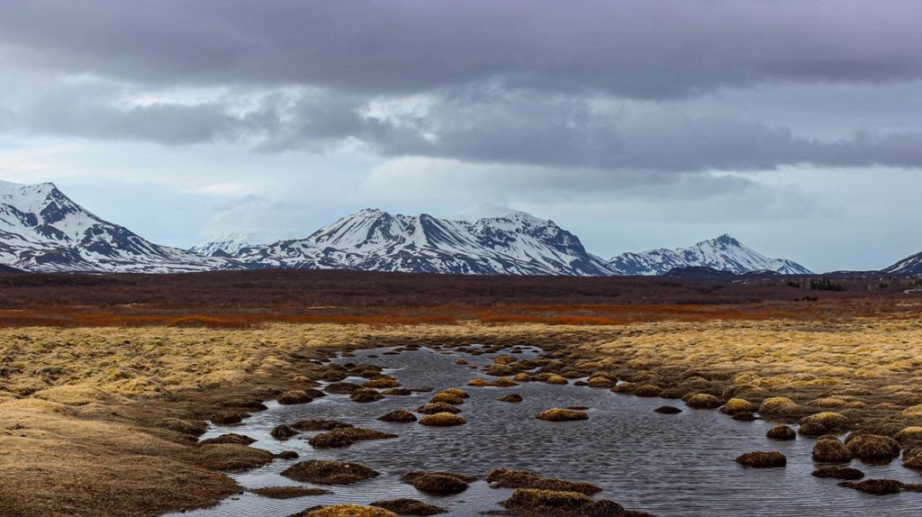     «Дерево-дедушка, о нас хорошо думай!». Интересные факты о юкагирах из книги «Мифы Восточной Сибири» Антон Бахарев