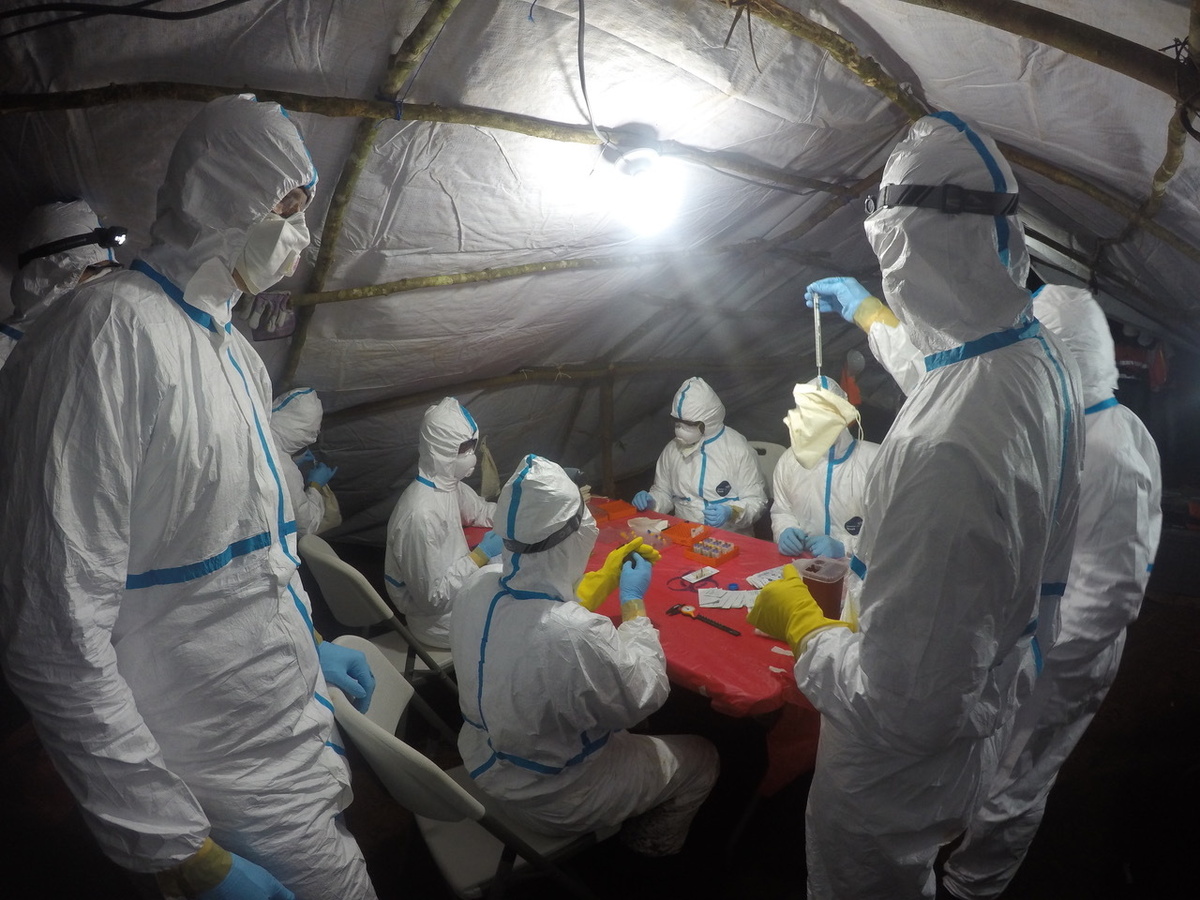     Вирусологи EcoHealth в Либерии / EcoHealth Alliance