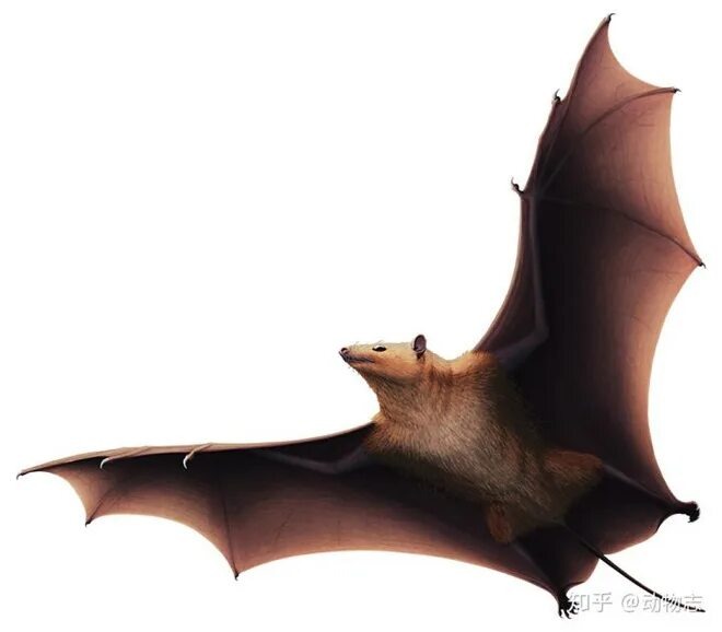 Реконструкция онихониктериса.