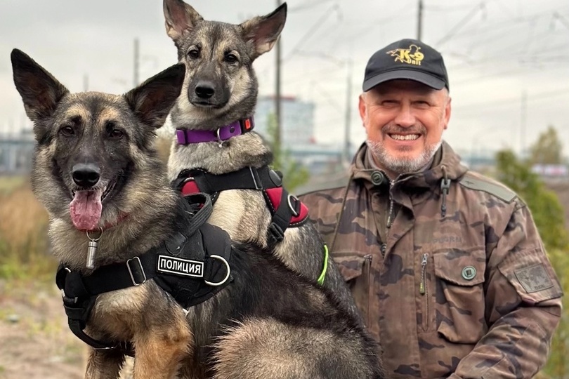 Про зоошизу. Пост кинолога Дмитрия Соболева.