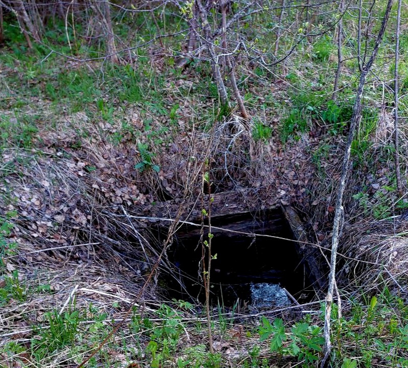 Как выглядит старый заброшенный колодец, куда можно провалиться