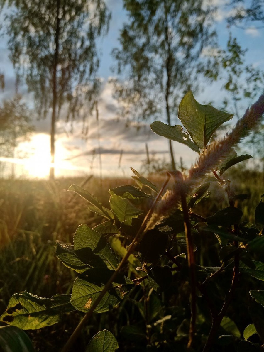 Летнее фото с заброшки