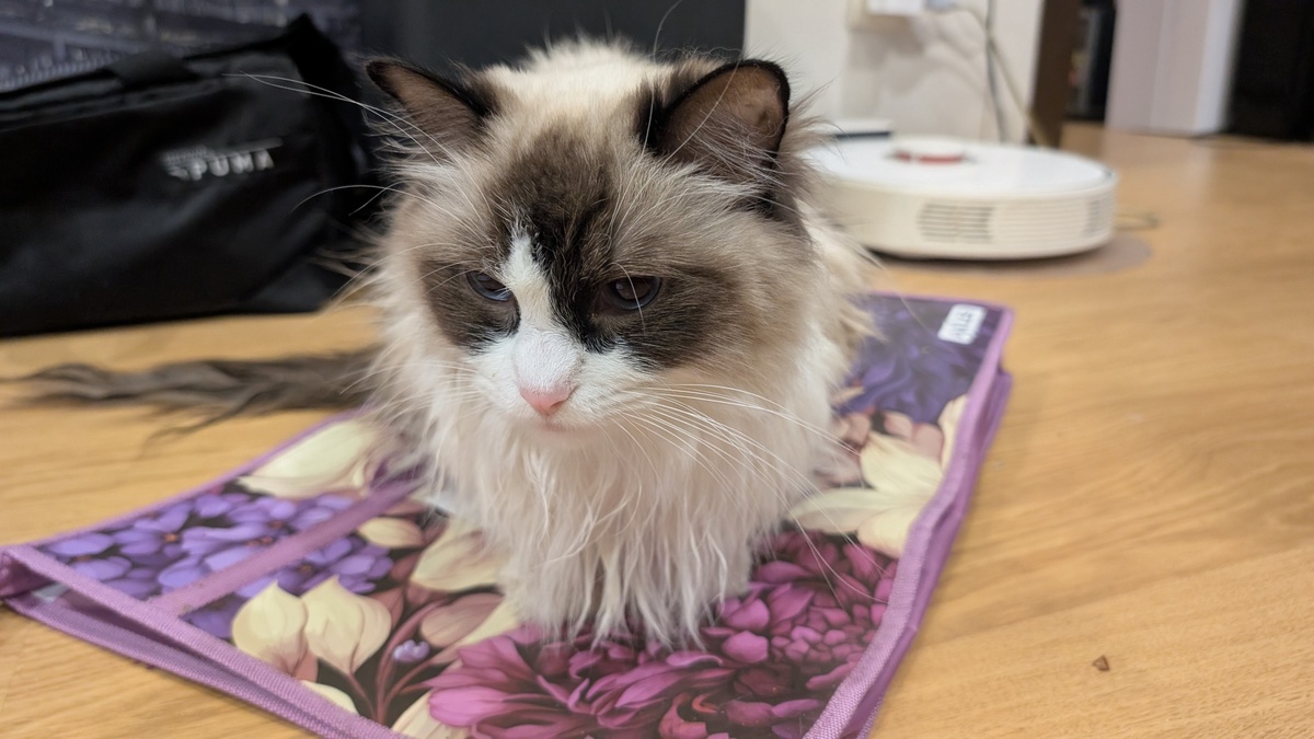 Помытая Мийка.