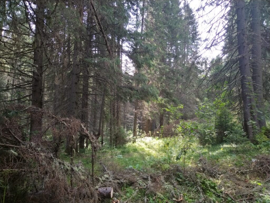    Фото: Ульяна Бажанова Ульяна Бажанова