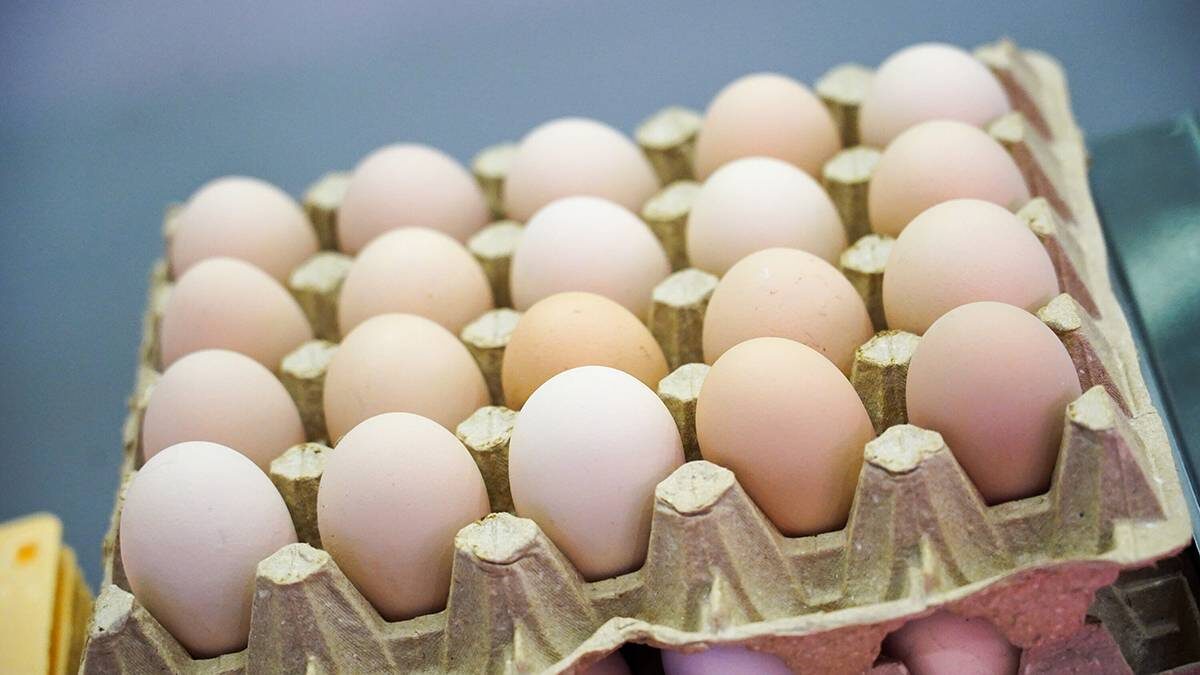    Фото: Александр Авилов / АГН Москва