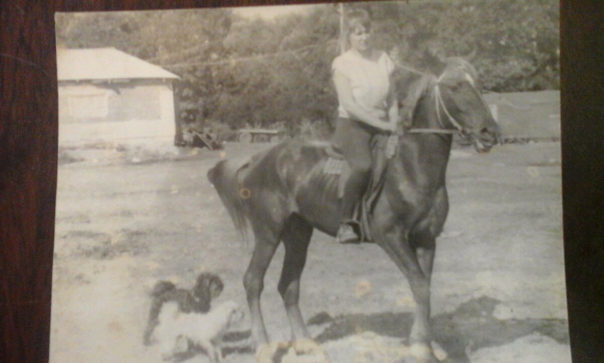 Чапик черный