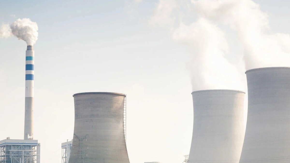    Фото: zhangyang13576997233/Shutterstock/Fotodom