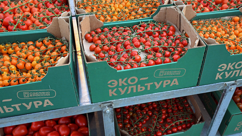 Фото: Дмитрий Азаров / Коммерсантъ