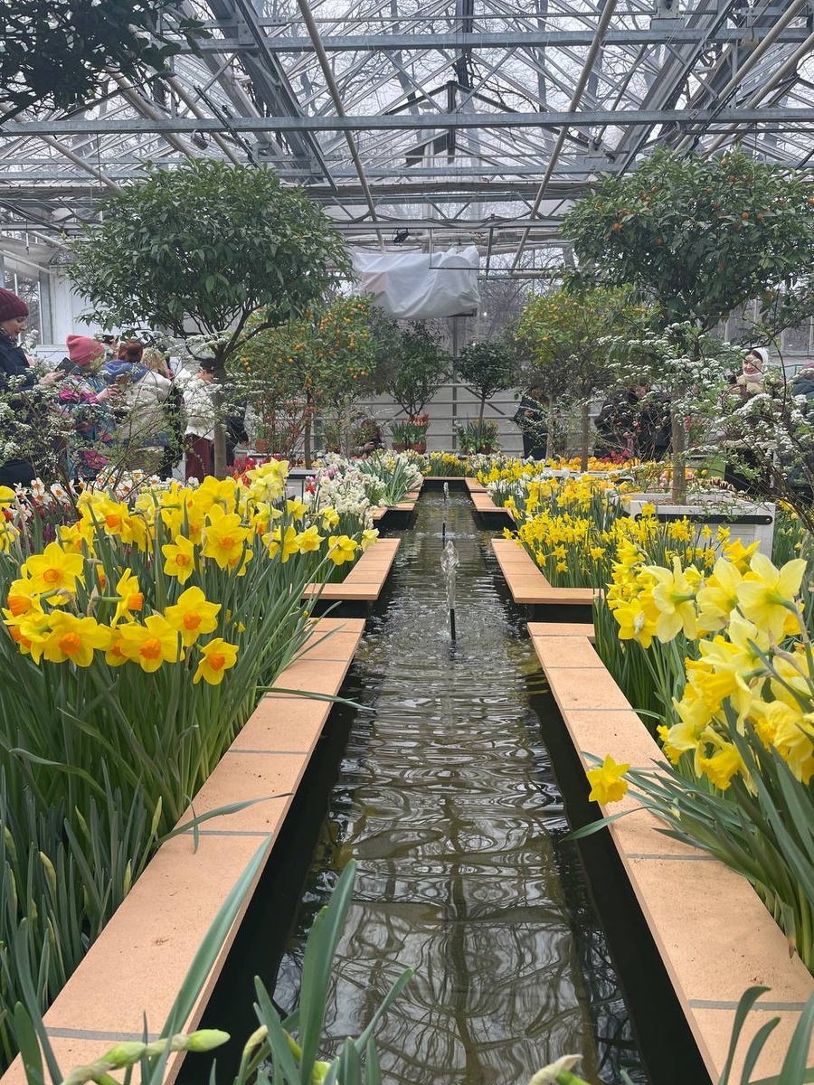 Репетиция весны