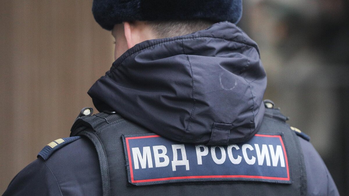    Фото: Alexey Belkin/globallookpress.com