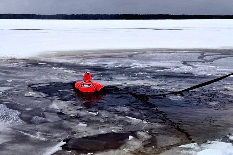    Случай произошел днем 5 марта недалеко от Вичелово.