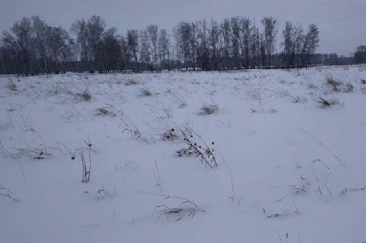    В Тверской области заросло еще почти 30 га пашни