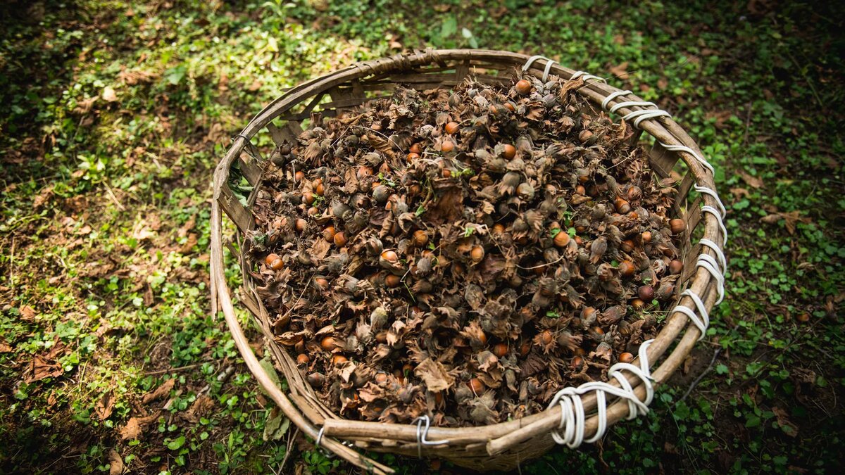 © photo: Sputnik / Stringer