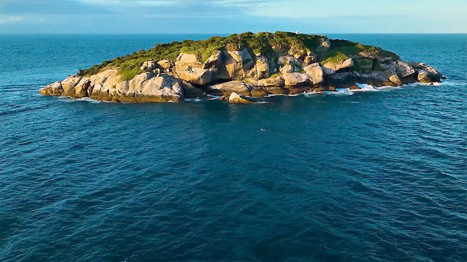 Фото: © Кадр из программы "Невероятно интересные истории", РЕН ТВ