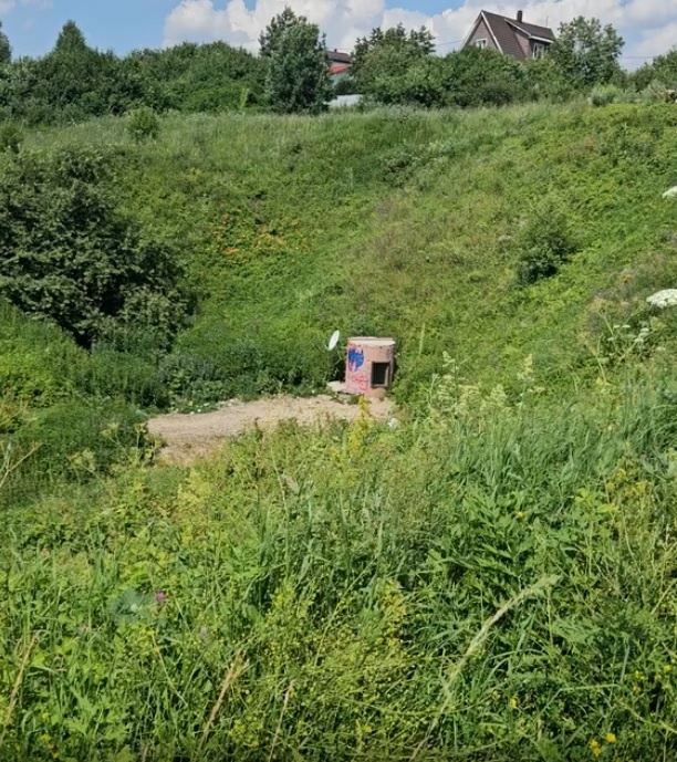 Московская область, городской округ Домодедово, деревня Старосъяново 
55.485237, 37.787565