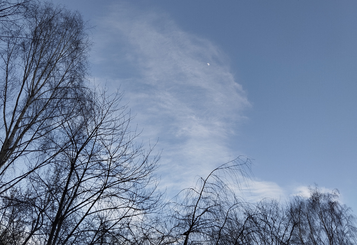 Март в Лианозово.