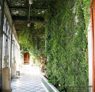 Зимний сад сегодня. Фото из интернета.