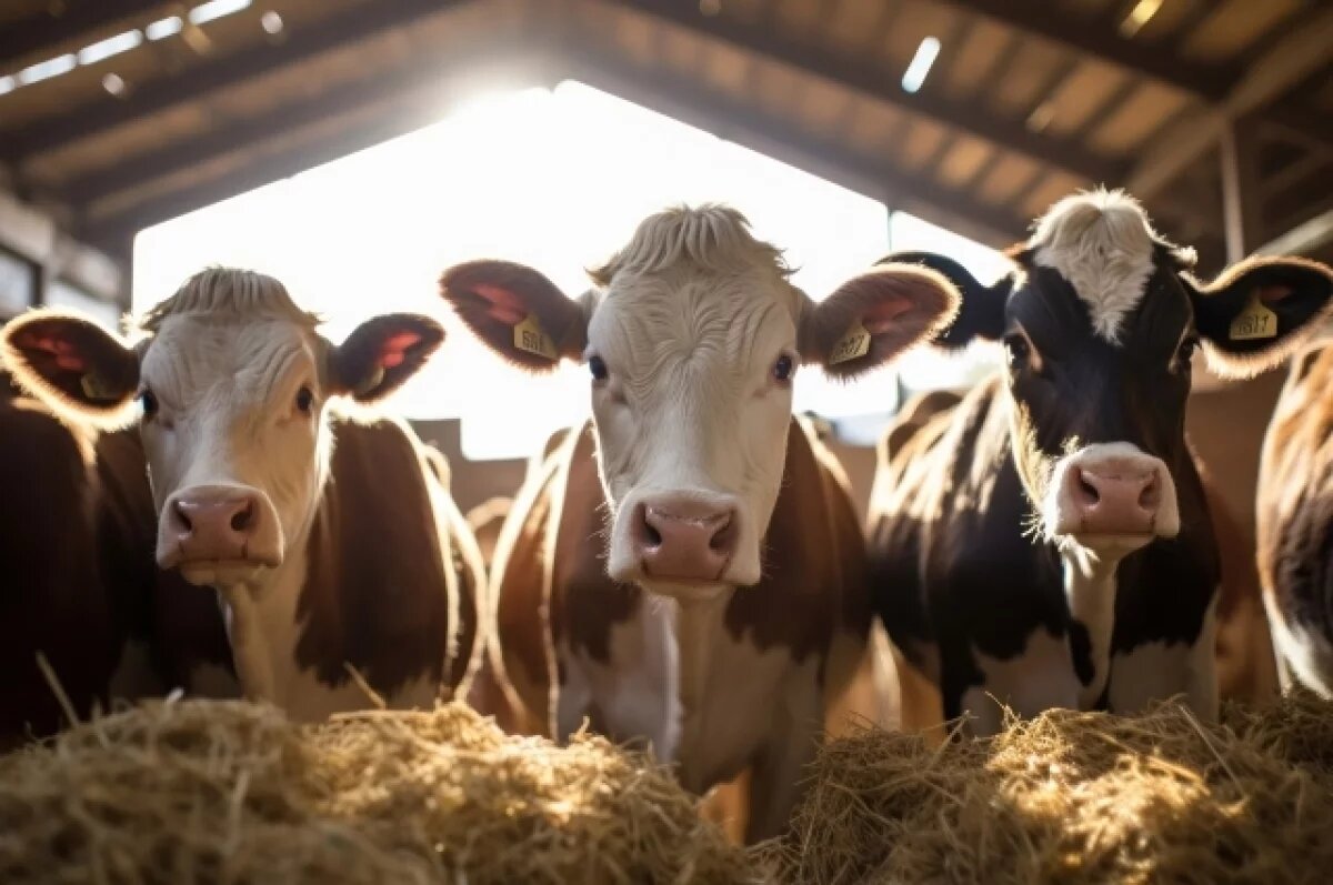    В Омской области обнаружили ещё один очаг бешенства