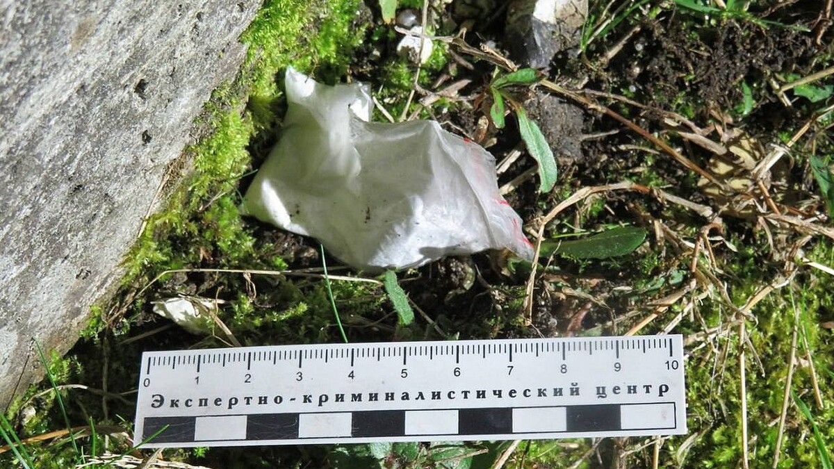    Фото: t.me/mvd_sirius