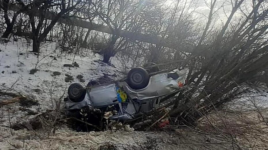    Автор фото: ГУ МВД по Воронежской области