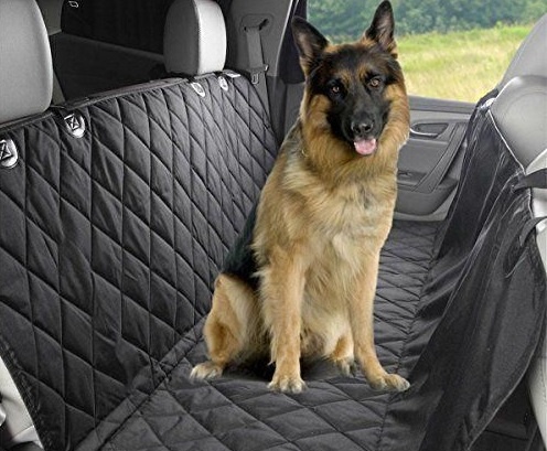 пес в машине