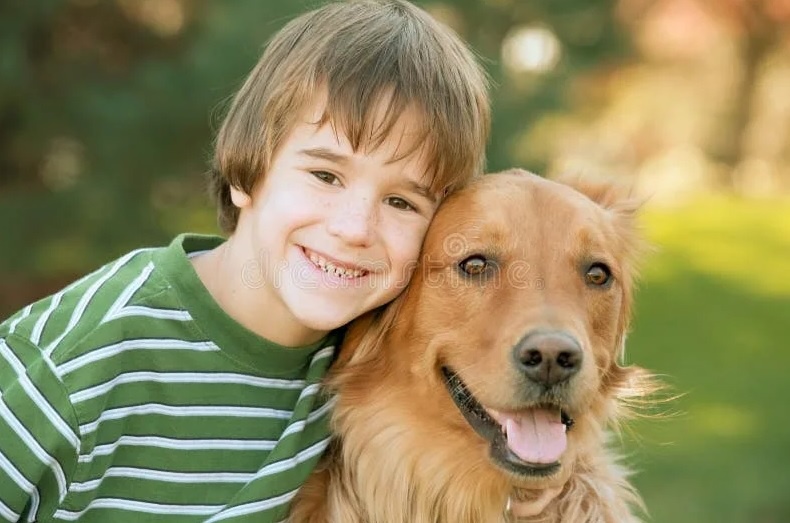 мальчик и ретривер