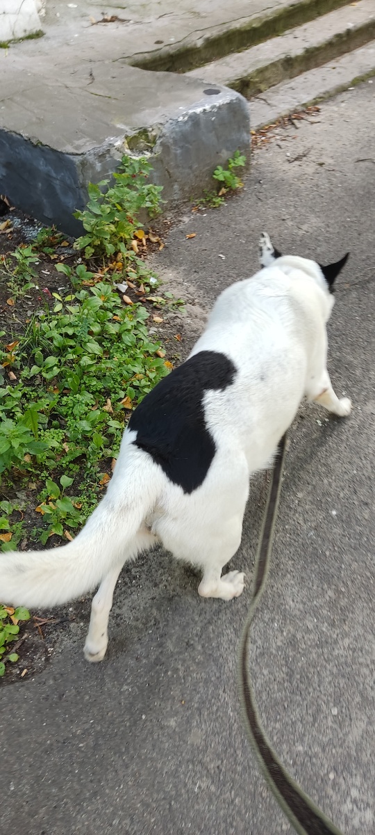 Рядом с той самой улицей, прошлым летом 