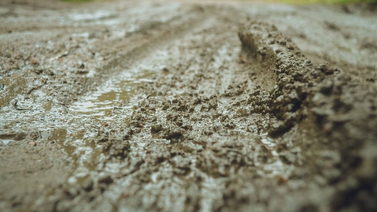     Источник: 1MI