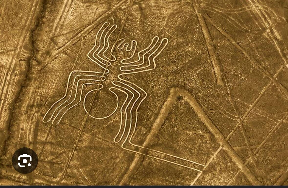 Картинка взята из интернета