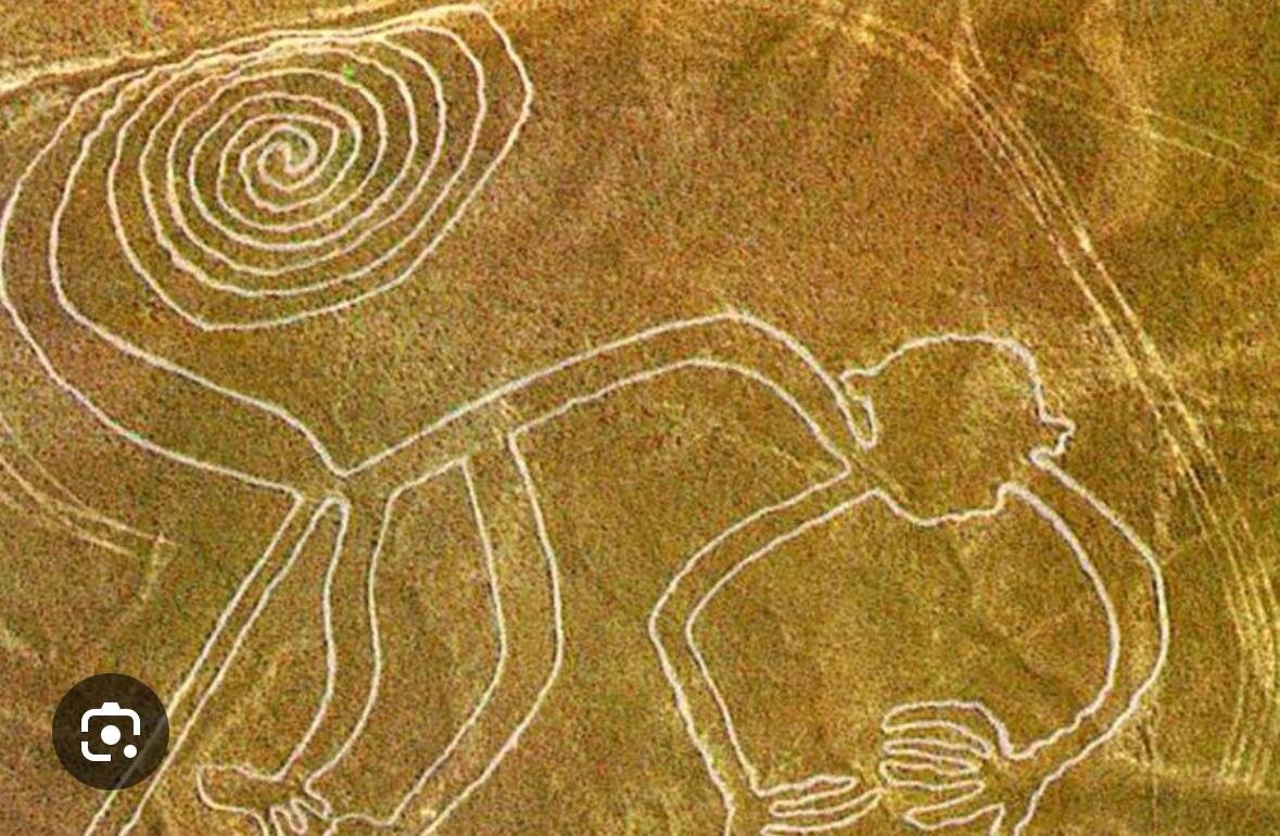 Картинка взята из интернета