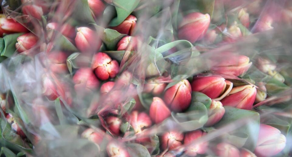    Ilya Moskovets/URA.RU / www.globallookpress.com