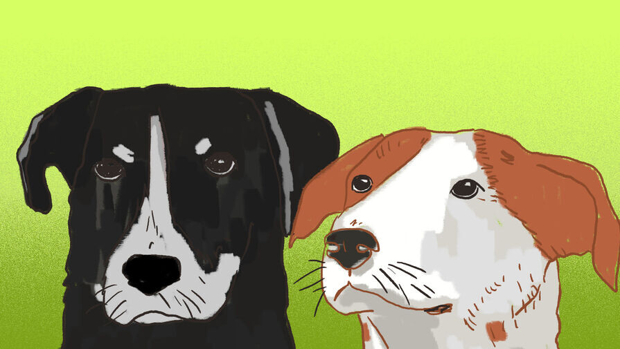 Даша Зайцева/«Газета.Ru» 