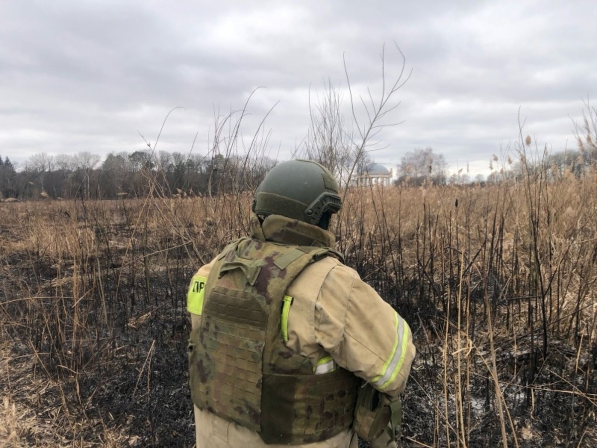    В Марьино Курской области загорелась сухая трава