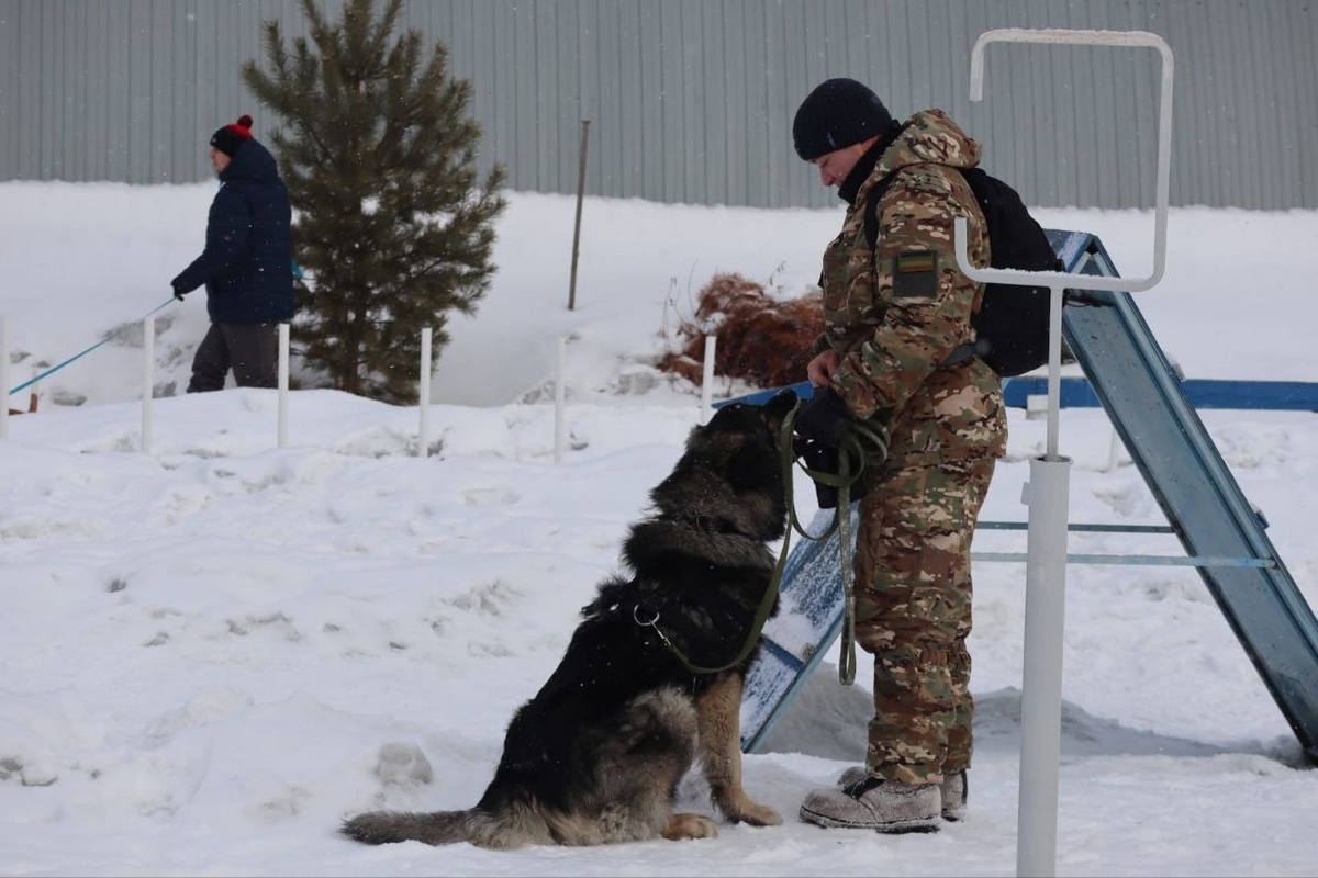 Родители песика большие молодцы, что занимаются воспитанием!