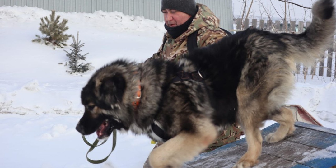 Жизнь Одиссея наполнена заботой и активностью!