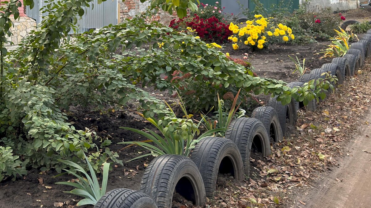 Фото: Alexander Legky/globallookpress.com