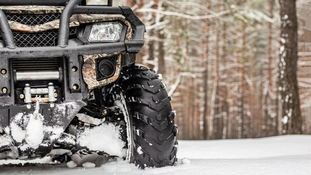    Фото: Gorloff-KV/Shutterstock/Fotodom