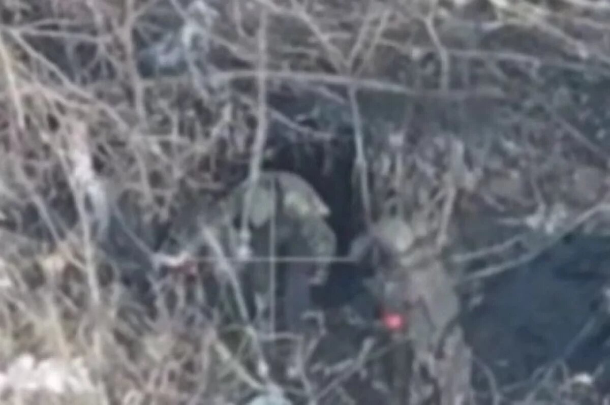    Появилось видео взятия в плен десяти солдат ВСУ в Курской области
