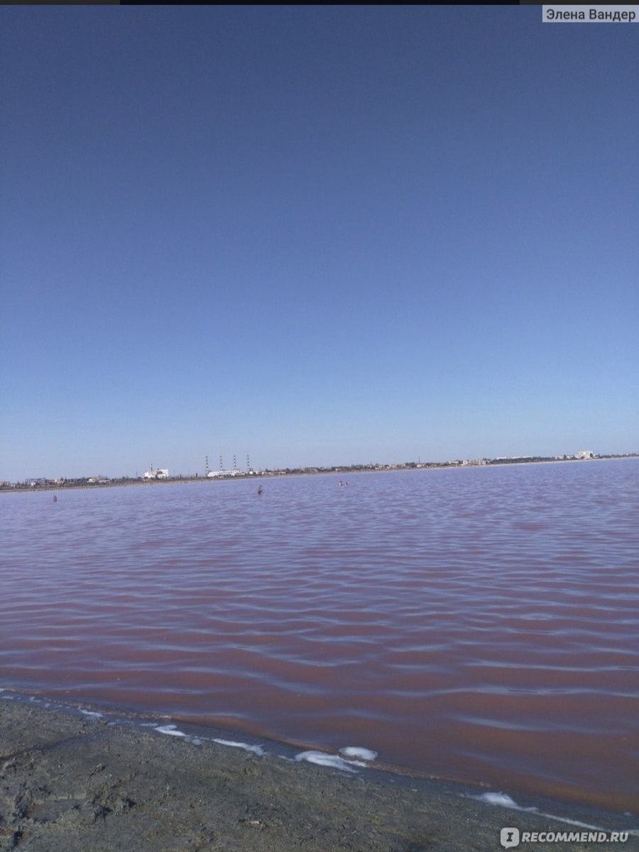 Цвет Сакского озера необычный.